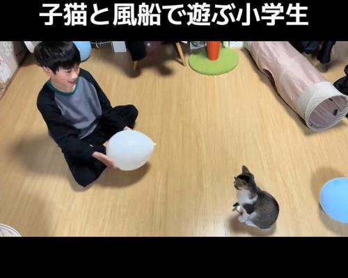 風船を持つ男の子