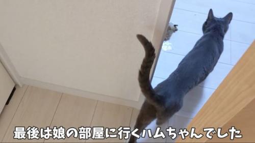 そして娘さんの部屋へ