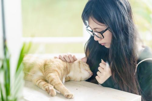猫と過ごすアジア人の女学生