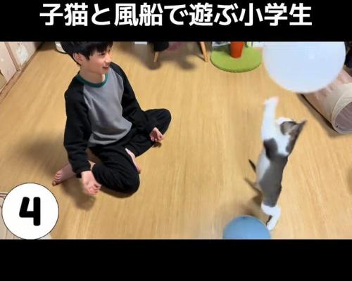 立って前足をあげる子猫