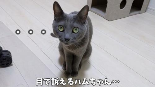 ママにはテレパシー