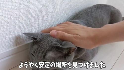 案内終わり