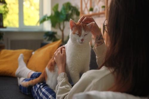パジャマ姿の飼い主と猫