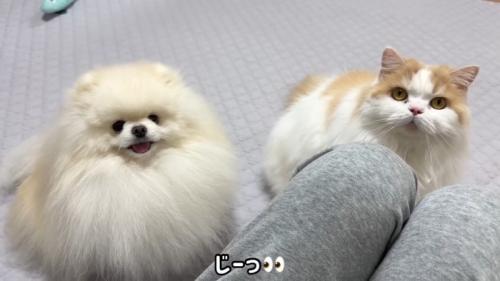じーっ