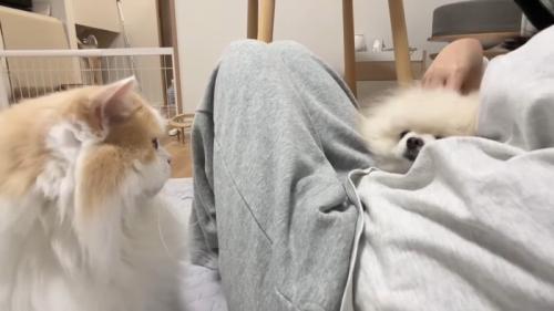 集合