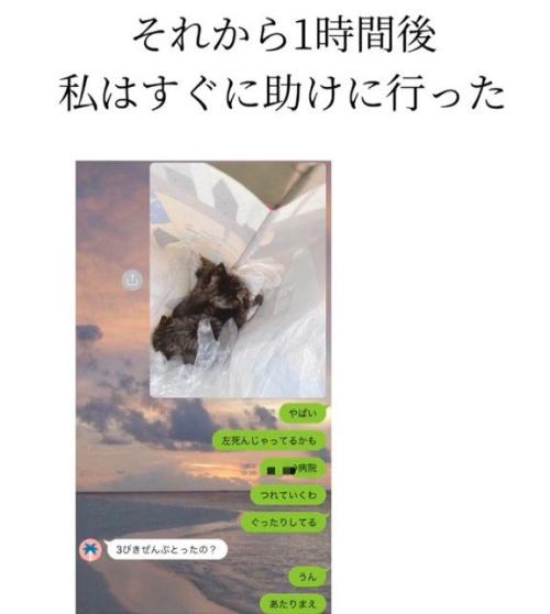 メッセージ画面