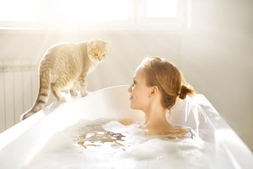 お風呂に遊びに来た猫