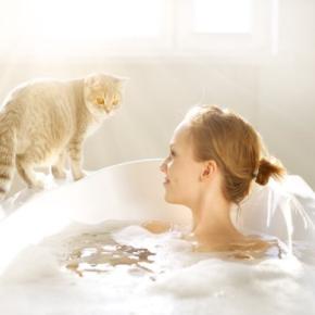 猫が『お風呂上がりの人』に寄ってくる理由5つ　どんな目的があるの？上手な応え方まで