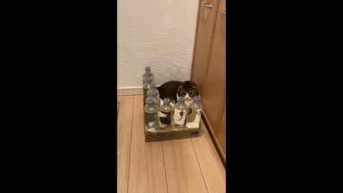 俯く姿