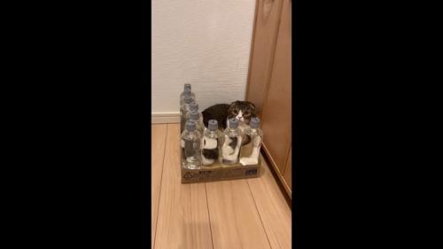 少し下から