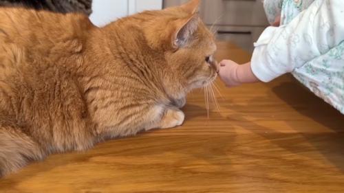 匂いチェック中
