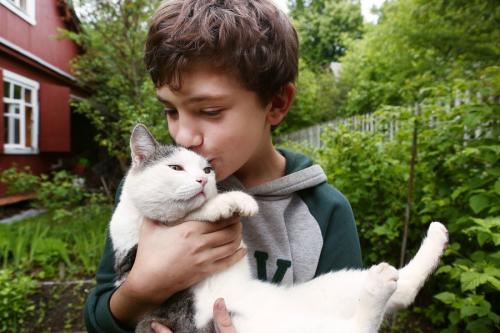 猫にキスする少年