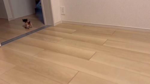 お部屋の外へ向かうつむぎちゃん