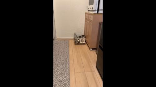少し近づいて