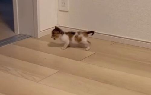 何かに気づいたようなつむぎちゃん