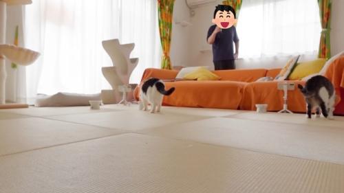 ふたりの後ろ姿