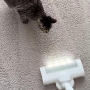 掃除機に向かってダッシュしてきた猫→次の瞬間…猫とは思えない『まさかの光景』が161万再生「モップ掛けになってるｗ」「初めて見たｗ」