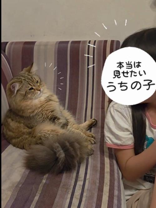 猫と見つめ合う子ども