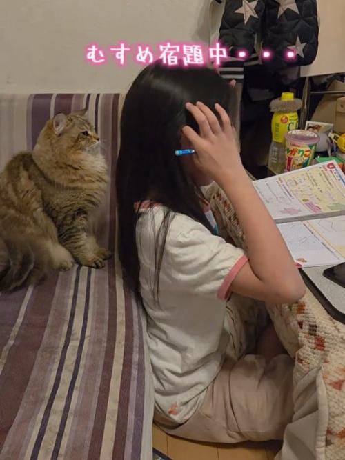 子どもの後ろにいる猫