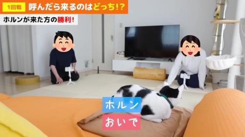 おいで