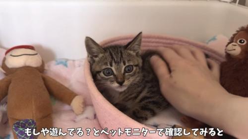 「もしや遊んでる？…」のテロップ写真