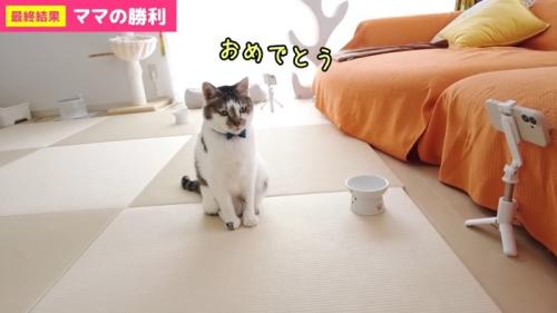 おめでとう