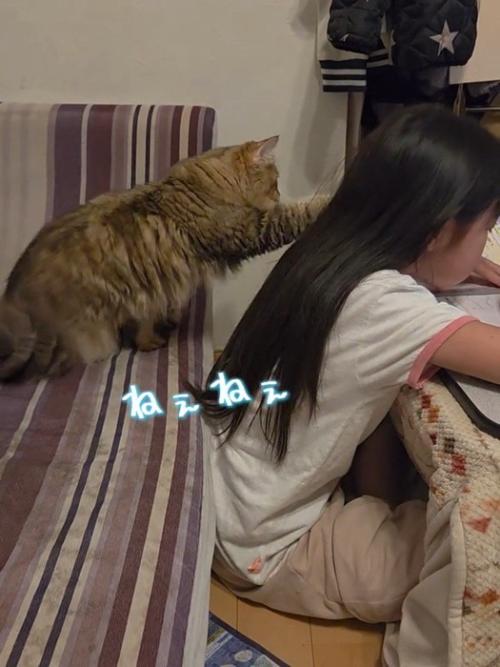 子どもの肩に片方の前足を乗せる猫