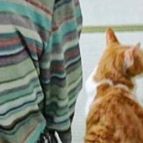 祖母のとなりに座り込んで『法事に参加する猫』→５分後……『全然違う様子』に爆笑の声「顔に笑った」「全身でアピールしてるｗ」と５万いいね