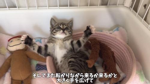 「そしてまた...」のテロップ写真