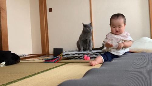 猫と赤ちゃんとコップ