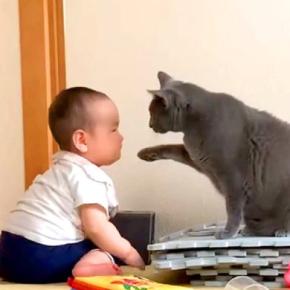 赤ちゃんと一緒にいるネコ→そばで見守っているかのようで…とんでもなく癒される『寄り添う様子』に「偉いね」「かわいい」と反響集まる