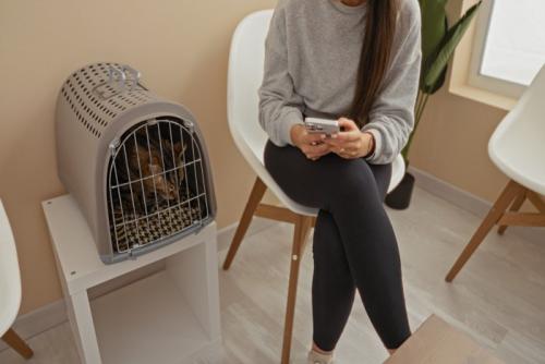 病院の待合室で呼ばれるのを待つ猫と飼い主