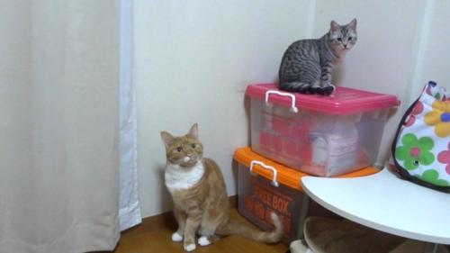 こちらを向くふたり