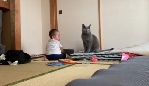 赤ちゃんと猫