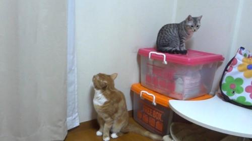 そっぽを向くふたり