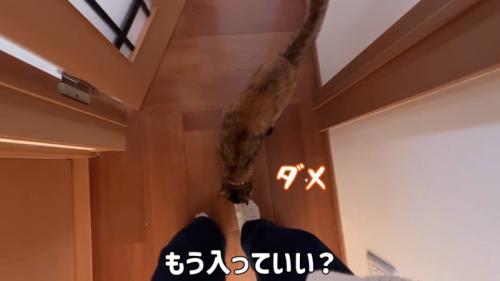 もう入っていい？