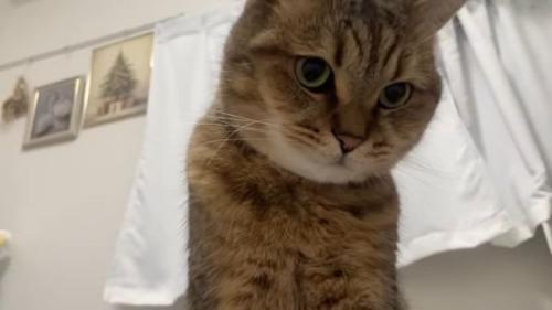 マイペースなみにら君