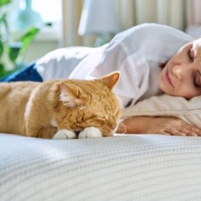 猫が見せる『亡くなる直前』のサイン5つ　見逃したくない変化や後悔しないための過ごし方まで