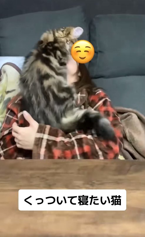 体をそらせている飼い主の上半身に乗っている猫