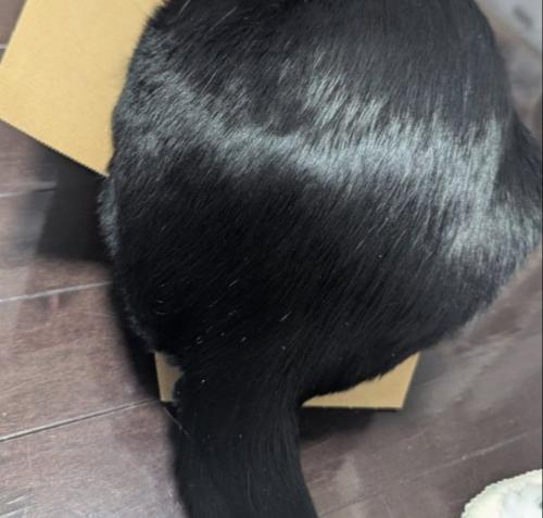 はみ出るお尻
