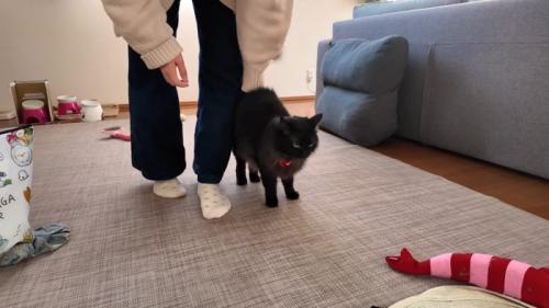 お尻を向けるみちこちゃん