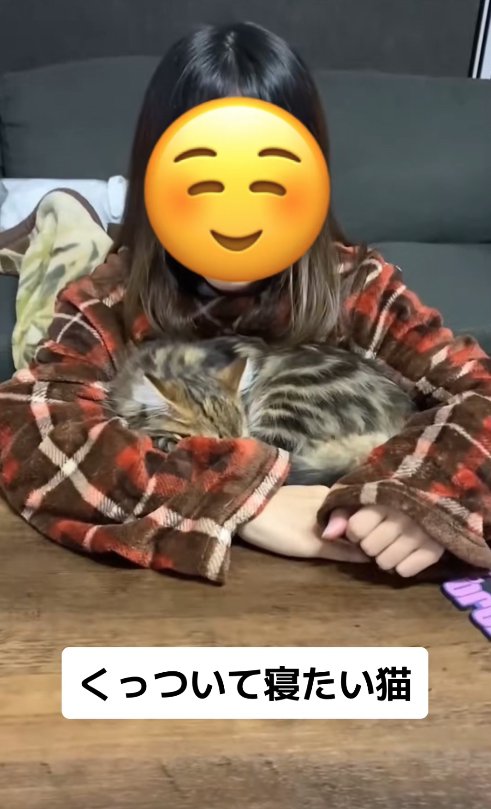 飼い主の腕に包まれてテーブルの上で寝る猫