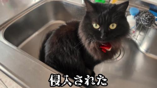 侵入された