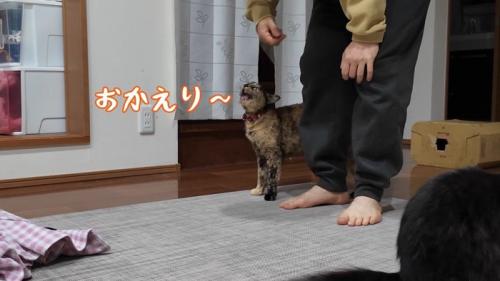 おかえり〜