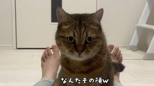 飼い主さんの上にのるみにら君