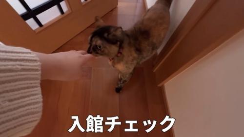 入館チェック