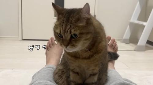 ゲップするみにら君