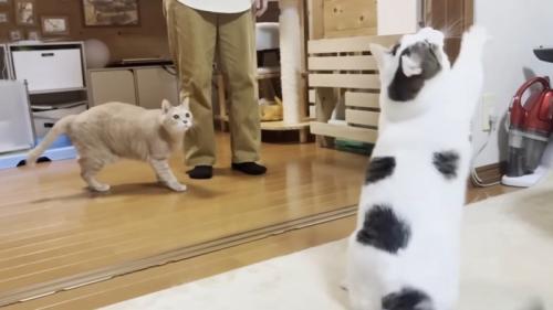おもちゃに手を伸ばした瞬間