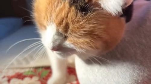 顔のアップ