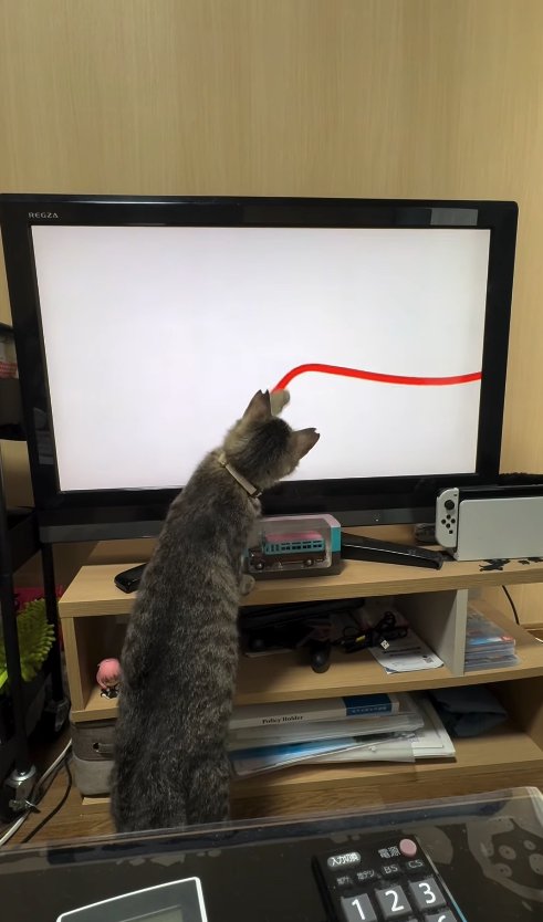 テレビに向かって左前足を伸ばしている猫の後ろ姿